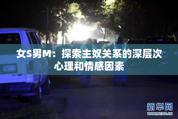 女S男M：探索主奴关系的深层次心理和情感因素