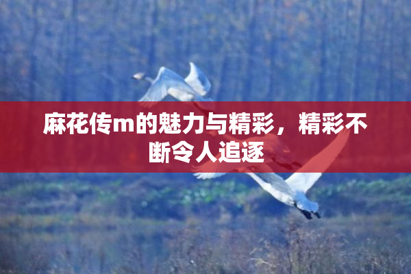 麻花传m的魅力与精彩，精彩不断令人追逐