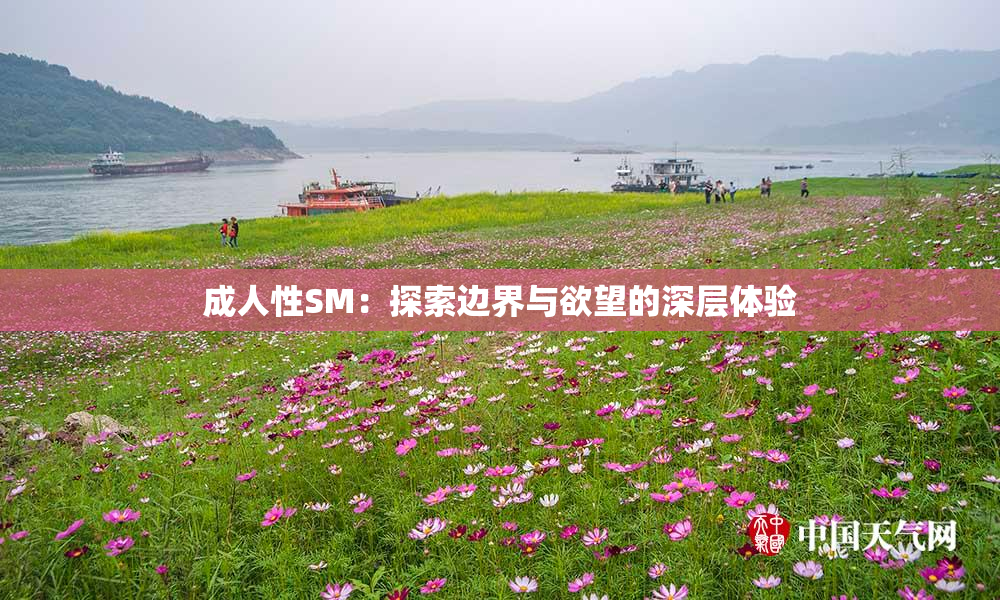 成人性SM：探索边界与欲望的深层体验