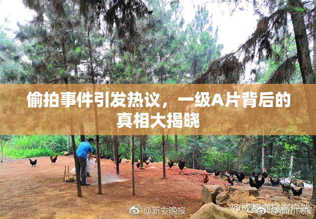 偷拍事件引发热议，一级A片背后的真相大揭晓