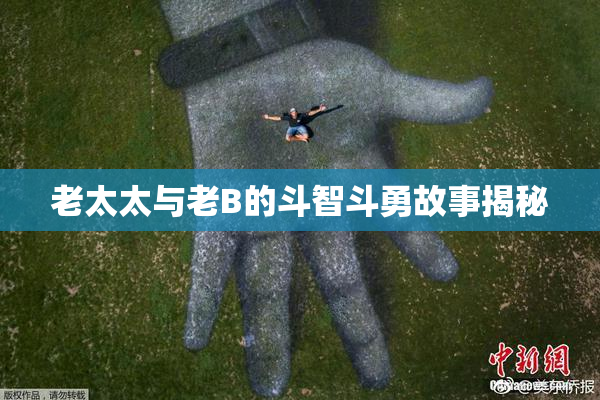 老太太与老B的斗智斗勇故事揭秘