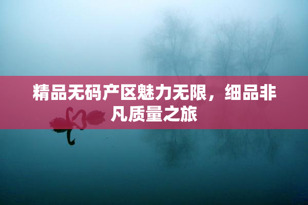 精品无码产区魅力无限，细品非凡质量之旅