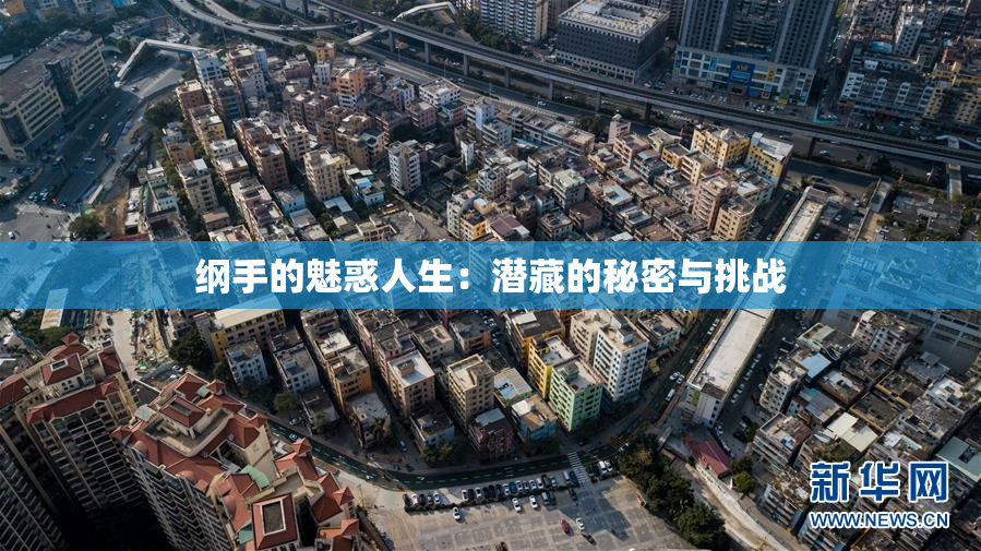 纲手的魅惑人生：潜藏的秘密与挑战