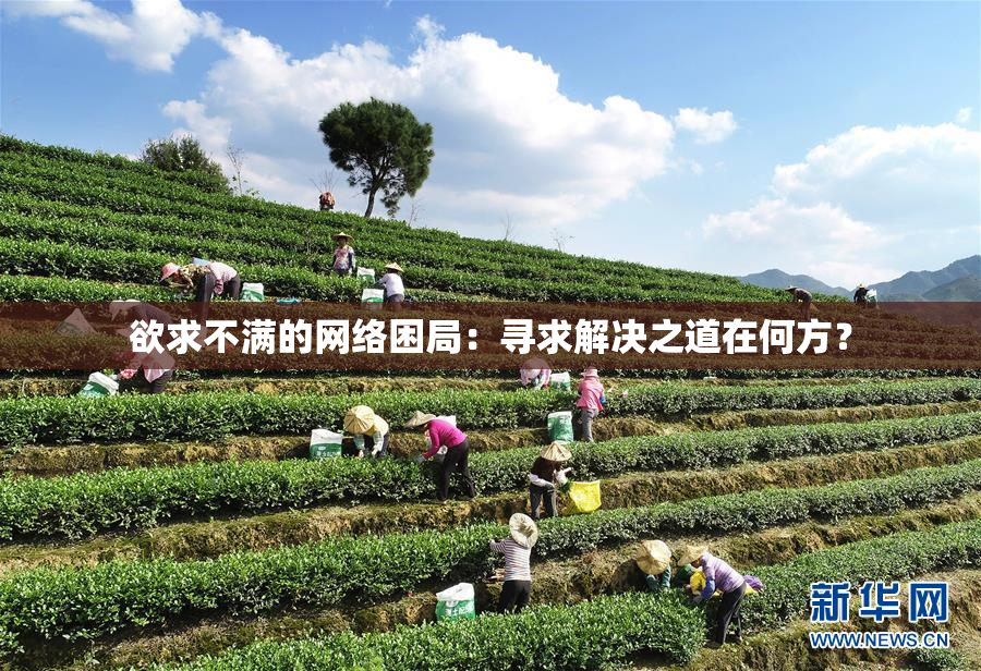 欲求不满的网络困局：寻求解决之道在何方？