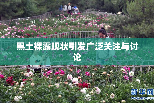 黑土裸露现状引发广泛关注与讨论