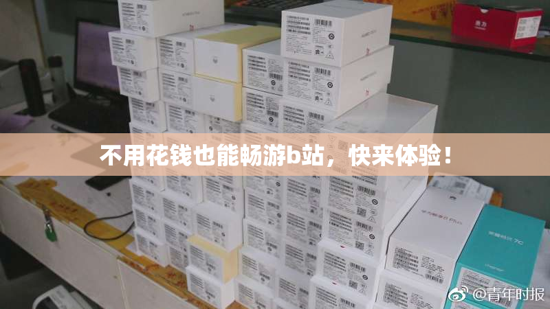 不用花钱也能畅游b站，快来体验！