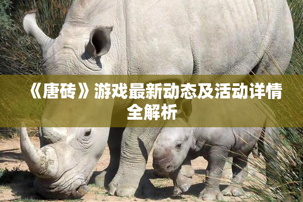 《唐砖》游戏最新动态及活动详情全解析