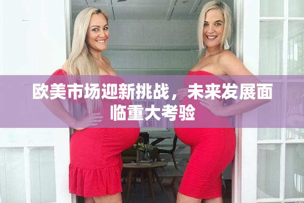 欧美市场迎新挑战，未来发展面临重大考验