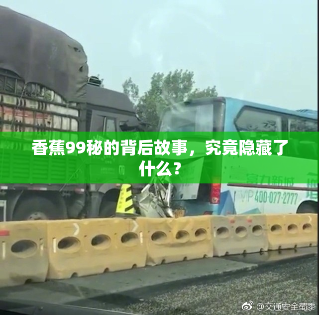 香蕉99秘的背后故事，究竟隐藏了什么？