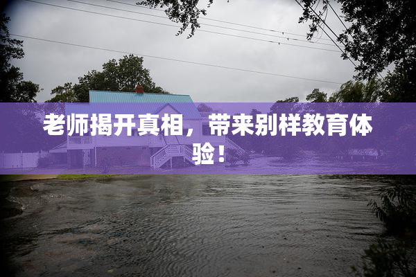 老师揭开真相，带来别样教育体验！