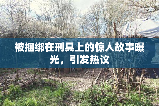被捆绑在刑具上的惊人故事曝光，引发热议