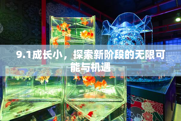 9.1成长小，探索新阶段的无限可能与机遇