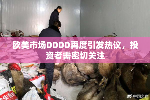 欧美市场DDDD再度引发热议，投资者需密切关注