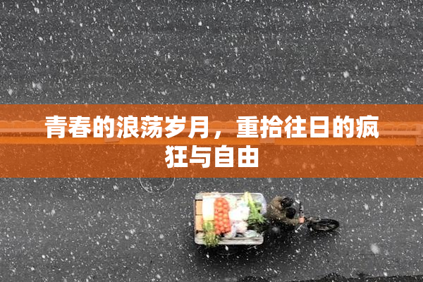 青春的浪荡岁月，重拾往日的疯狂与自由
