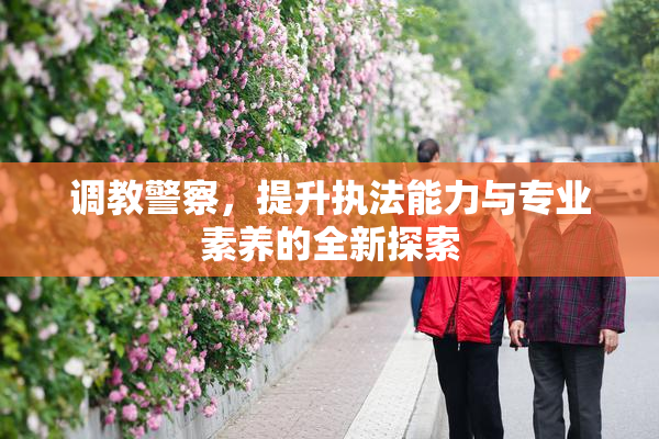 调教警察，提升执法能力与专业素养的全新探索