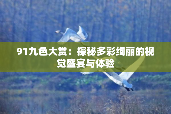 91九色大赏：探秘多彩绚丽的视觉盛宴与体验