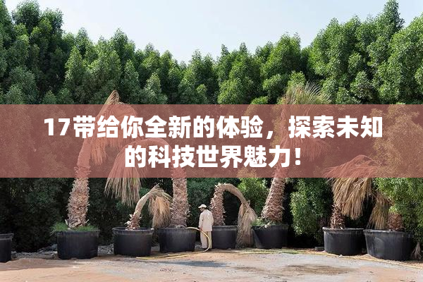 17带给你全新的体验，探索未知的科技世界魅力！