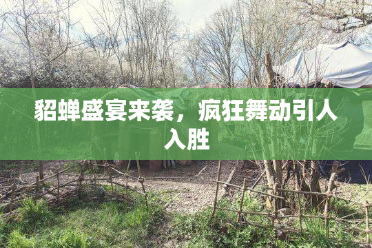 貂蝉盛宴来袭，疯狂舞动引人入胜