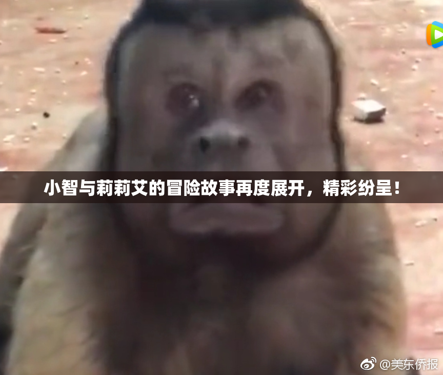 小智与莉莉艾的冒险故事再度展开，精彩纷呈！