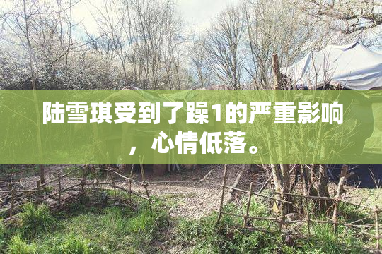 陆雪琪受到了躁1的严重影响，心情低落。