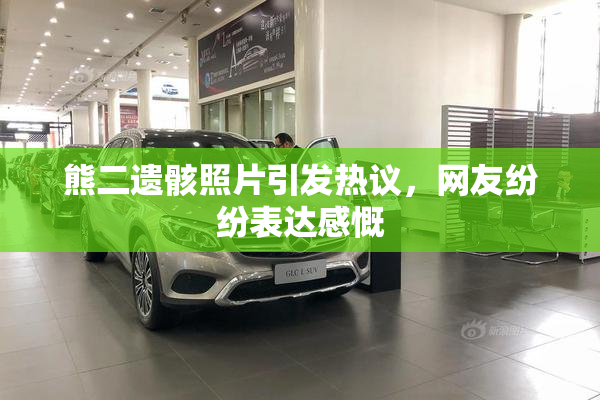 熊二遗骸照片引发热议，网友纷纷表达感慨