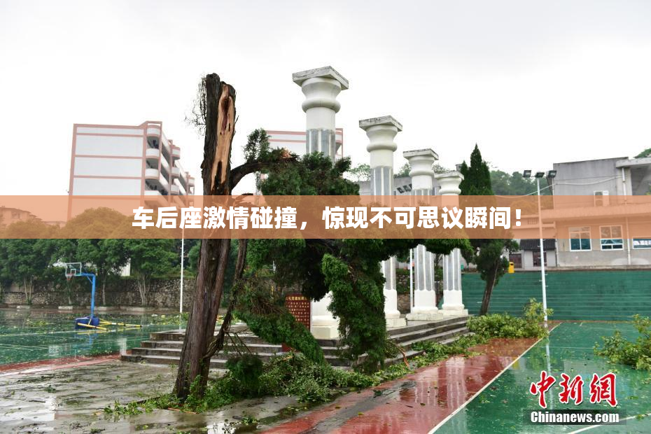 车后座激情碰撞，惊现不可思议瞬间！