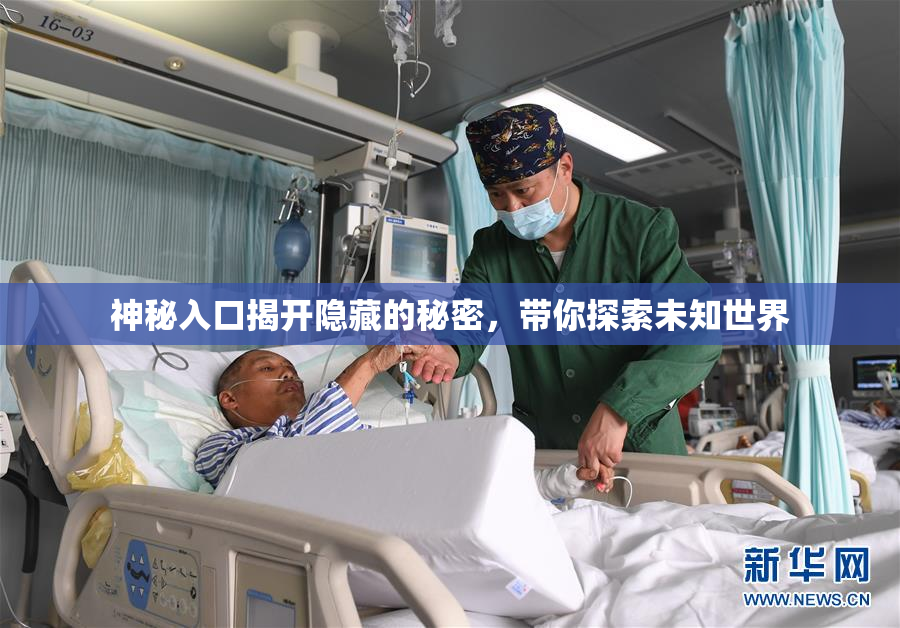神秘入口揭开隐藏的秘密，带你探索未知世界