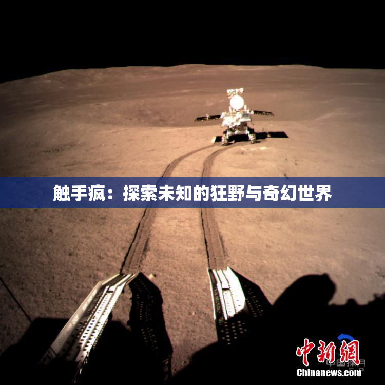 触手疯：探索未知的狂野与奇幻世界
