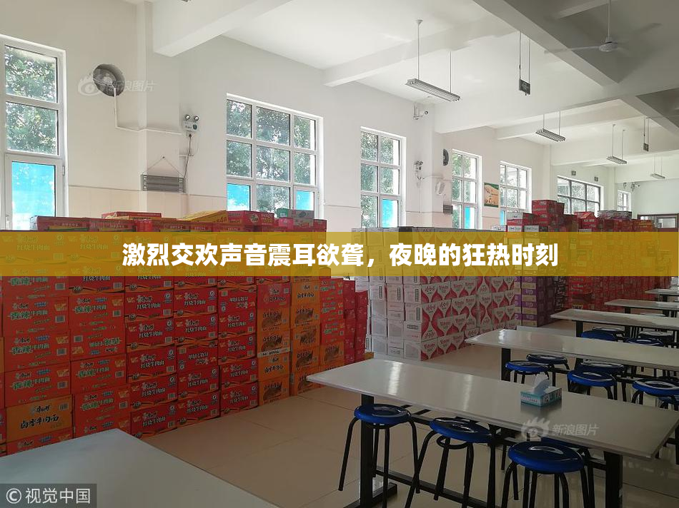 激烈交欢声音震耳欲聋，夜晚的狂热时刻