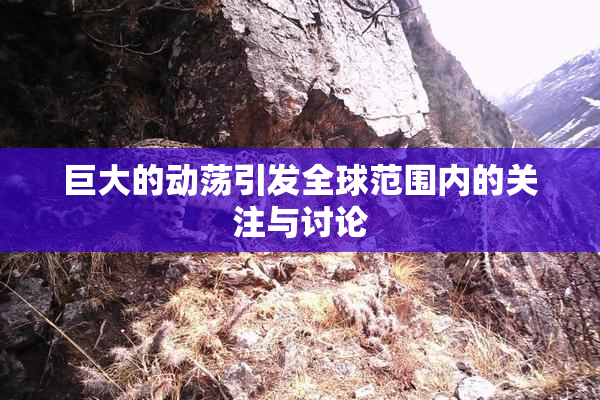 巨大的动荡引发全球范围内的关注与讨论