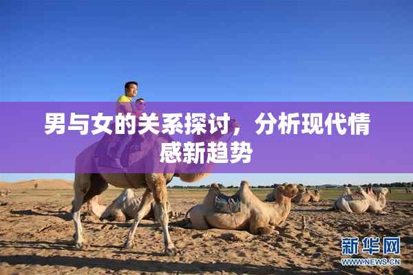 男与女的关系探讨，分析现代情感新趋势