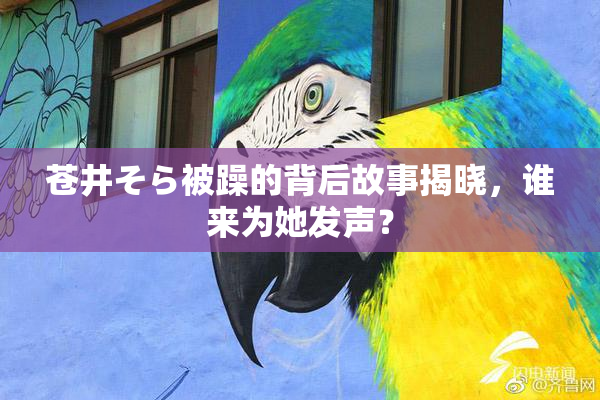 苍井そら被躁的背后故事揭晓，谁来为她发声？
