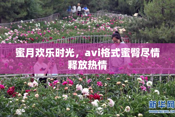蜜月欢乐时光，avi格式蜜臀尽情释放热情
