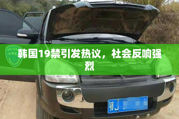 韩国19禁引发热议，社会反响强烈
