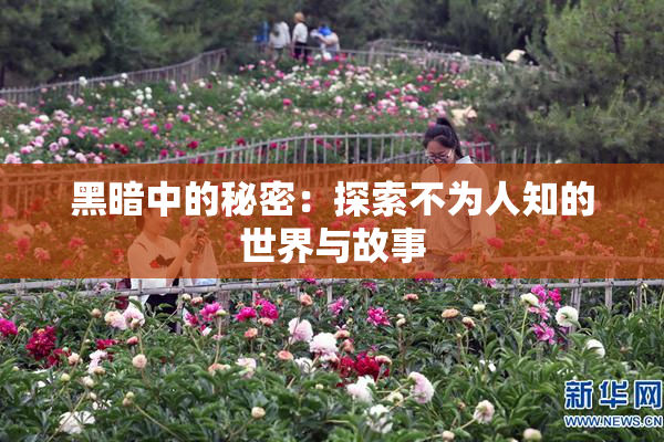 黑暗中的秘密：探索不为人知的世界与故事