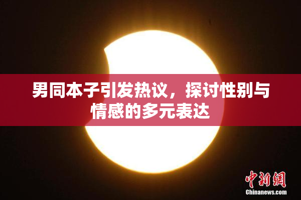 男同本子引发热议，探讨性别与情感的多元表达