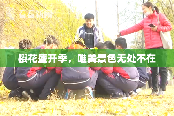 樱花盛开季，唯美景色无处不在