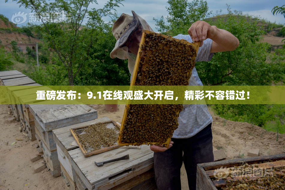 重磅发布：9.1在线观盛大开启，精彩不容错过！