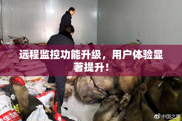 远程监控功能升级，用户体验显著提升！