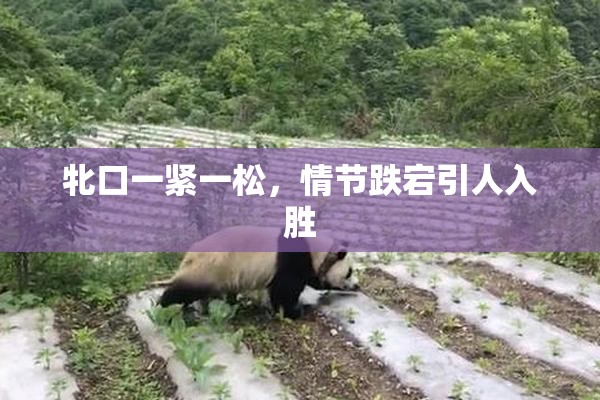 牝口一紧一松，情节跌宕引人入胜