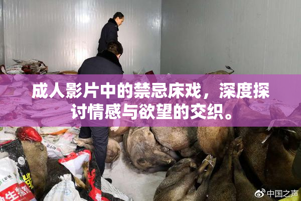 成人影片中的禁忌床戏，深度探讨情感与欲望的交织。