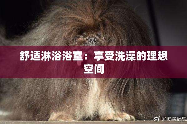 舒适淋浴浴室：享受洗澡的理想空间