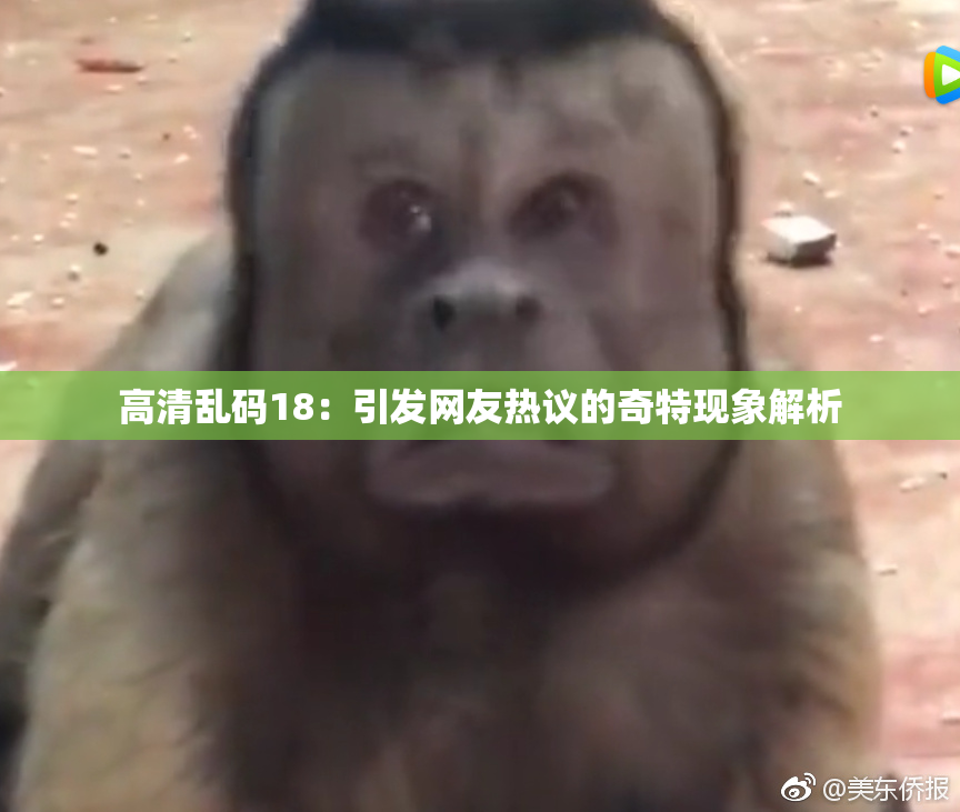 高清乱码18：引发网友热议的奇特现象解析