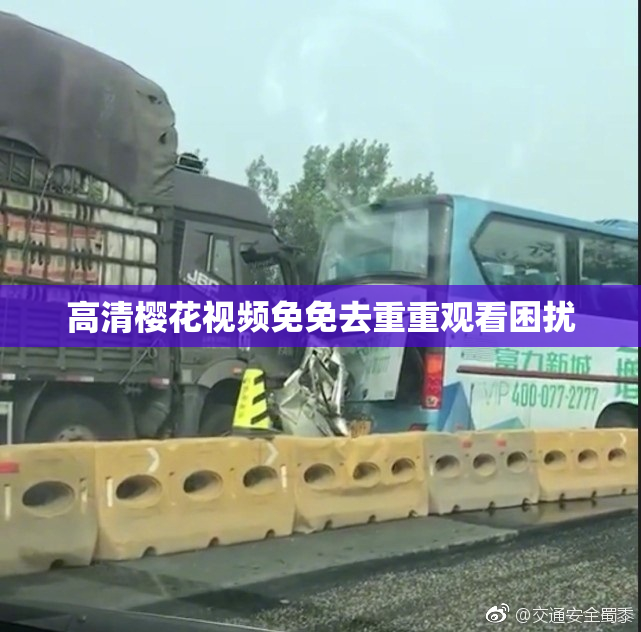 高清樱花视频免免去重重观看困扰