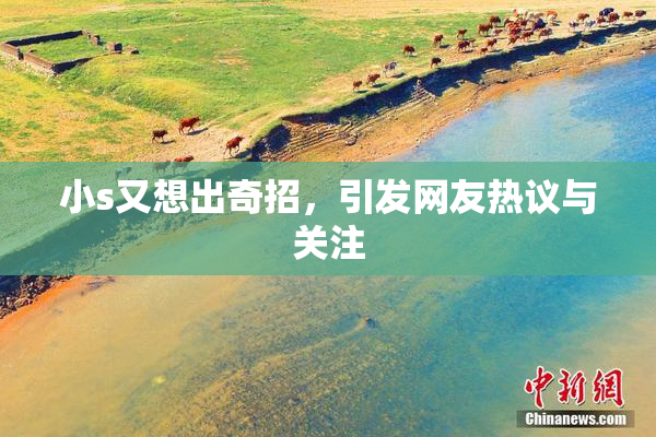 小s又想出奇招，引发网友热议与关注