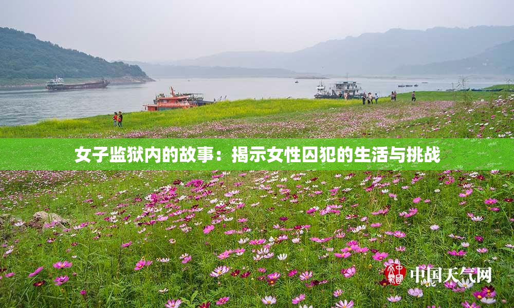 女子监狱内的故事：揭示女性囚犯的生活与挑战