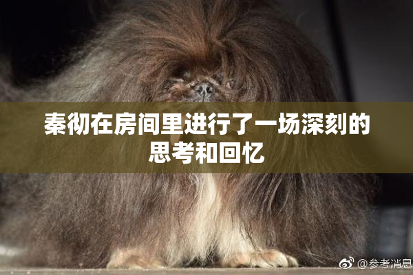 秦彻在房间里进行了一场深刻的思考和回忆