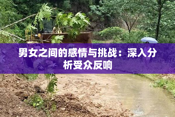 男女之间的感情与挑战：深入分析受众反响