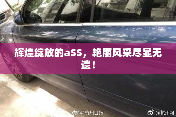 辉煌绽放的aSS，艳丽风采尽显无遗！