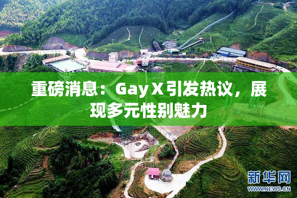 重磅消息：GayⅩ引发热议，展现多元性别魅力